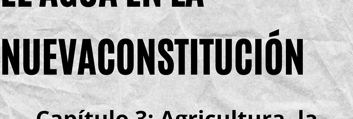 PODCAST | El Agua en la nueva Constitución: Agricultura, la exportación de agua y la soberanía alimentaria