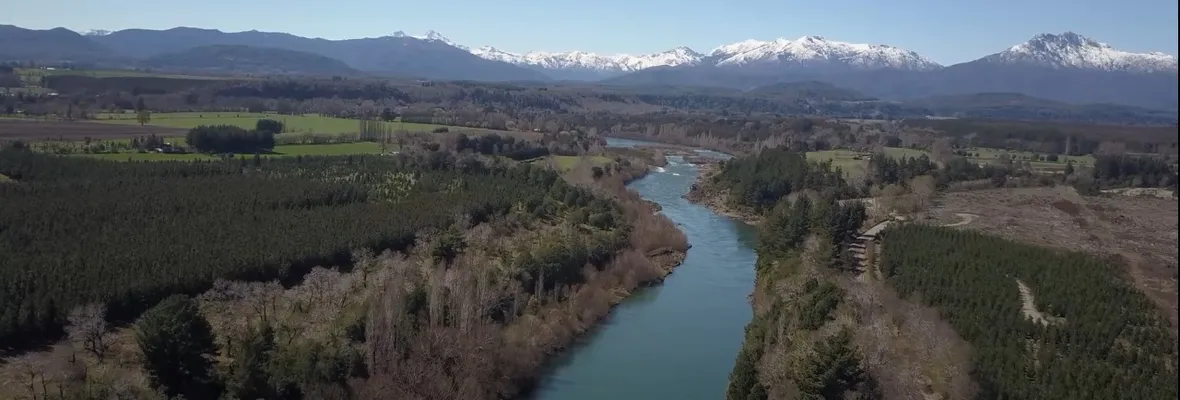 Convención aprueba los derechos de la naturaleza