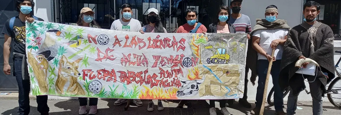 Comunidades Lavkenche de Tubul exigieron al SEA ingresar proyecto inmobiliario al Sistema de Evaluación de Impacto Ambiental