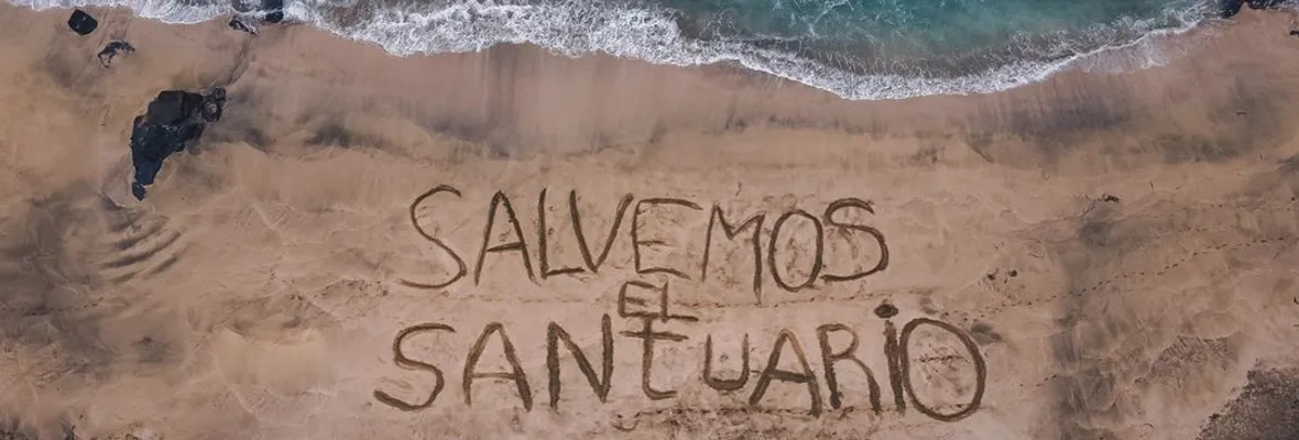 Desde campaña Salvemos el Santuario ingresan reclamación en Contraloría por rechazo a denuncias contra Consejo de Monumentos Nacionales
