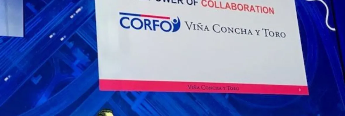 Estado entregó $13.961.905.273 a empresariado del vino desde 2012, mientras a viñateros no se les financió proyecto por el 0,005% de tal monto para vinificar