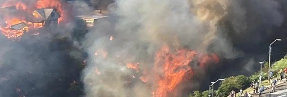 Onemi reporta 80 casas destruidas, 200 personas damnificadas y 340 evacuadas tras incendio forestal en Castro