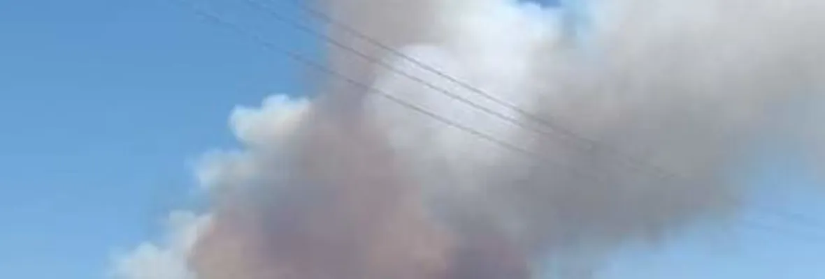 Alerta Roja por incendio forestal en Nacimiento: Humo afecta varias comunas del Biobío