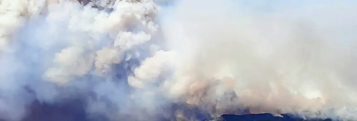 Onemi mantiene alerta roja para comunas de Angol y Los Sauces por incendio de plantaciones de monocultivo forestal