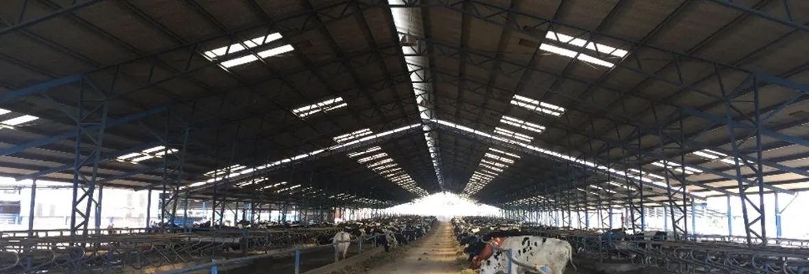 Tras denuncias de la población: SMA formuló cargos contra Agropecuaria Los Varones por elusión a Sistema de Evaluación de Impacto Ambiental