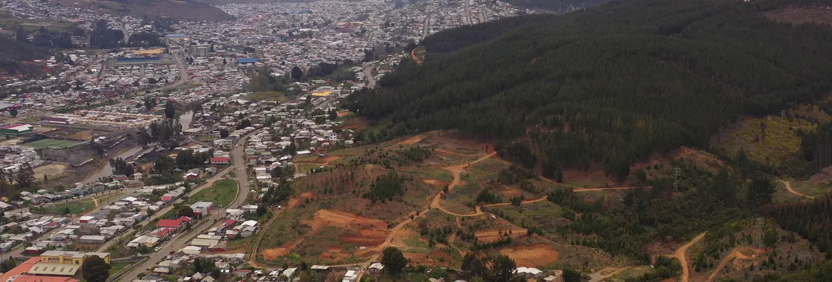 Presencial y telemático: Realizarán encuentro socioambiental "Por la superación del modelo forestal" en Curanilahue