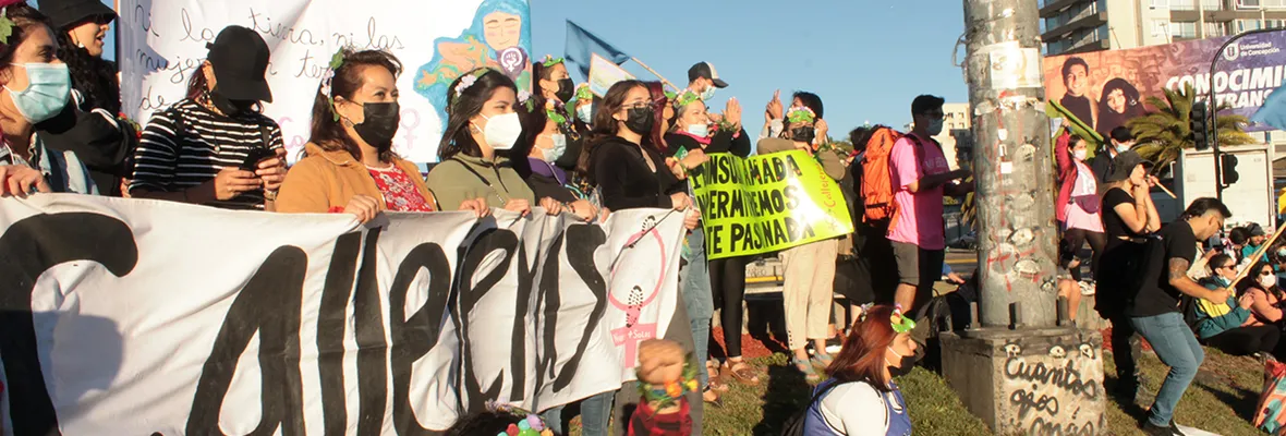 Marcha contra intervenciones en el Santuario de la Naturaleza de Hualpén se desarrolló en Concepción