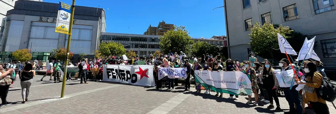 Organizaciones sociales del Biobío llamaron a firmar iniciativas populares de norma en el Proceso Constituyente