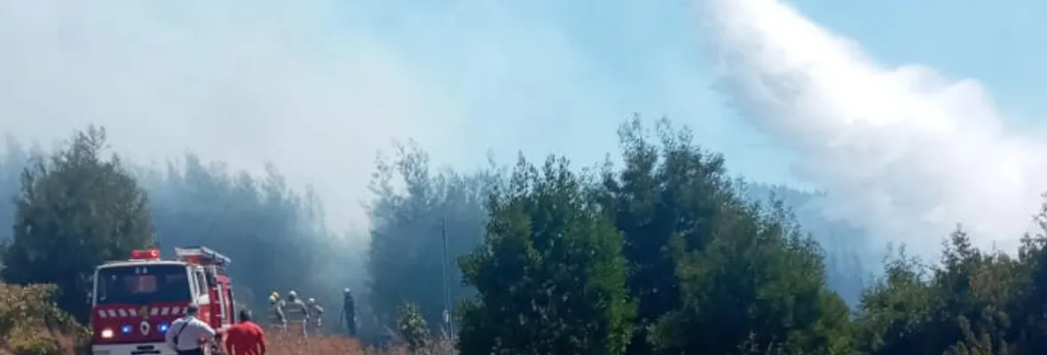Hombre murió en Florida producto de incendio forestal
