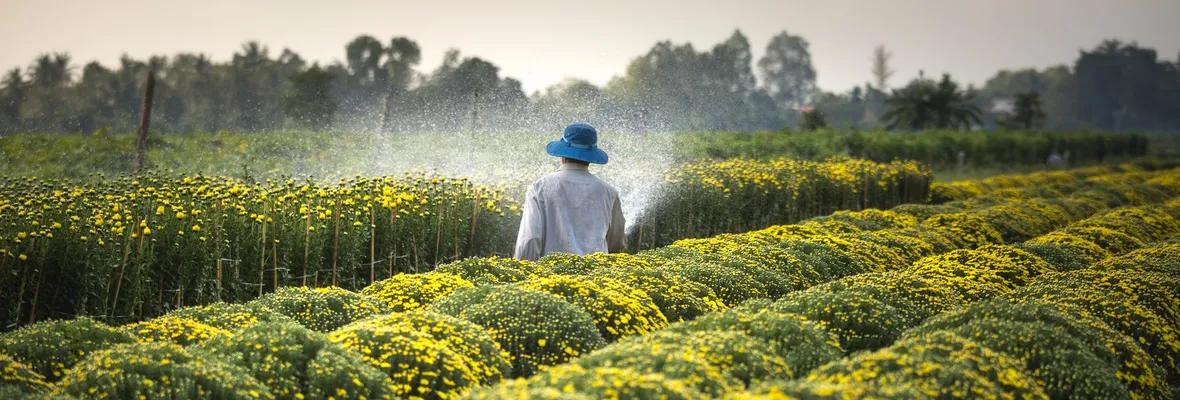 Investigación propone: “Estudiar la percepción de los agricultores/as ante la sequía, para crear comunidades más resilientes al cambio climático"