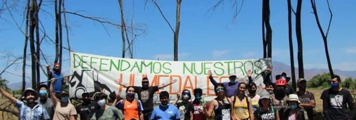 La lucha ciudadana por la regeneración de los humedales de Quilicura