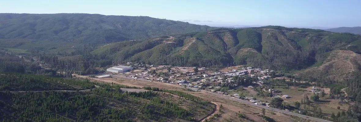 A 5 años del incendio más grande de la historia: las peligrosas plantaciones forestales siguen dominando la Cordillera de la Costa del Maule