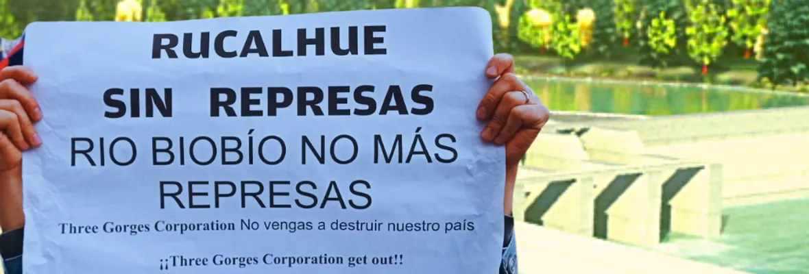 Informe de Conaf acredita que empresa hidroeléctrica taló árboles nativos vulnerables en faenas de proyecto Central Rucalhue