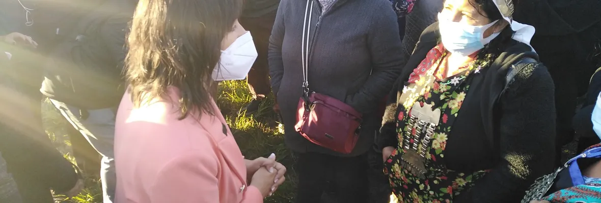Disparos al aire interrumpen visita de Izkia Siches a la comunidad de Temucuicui