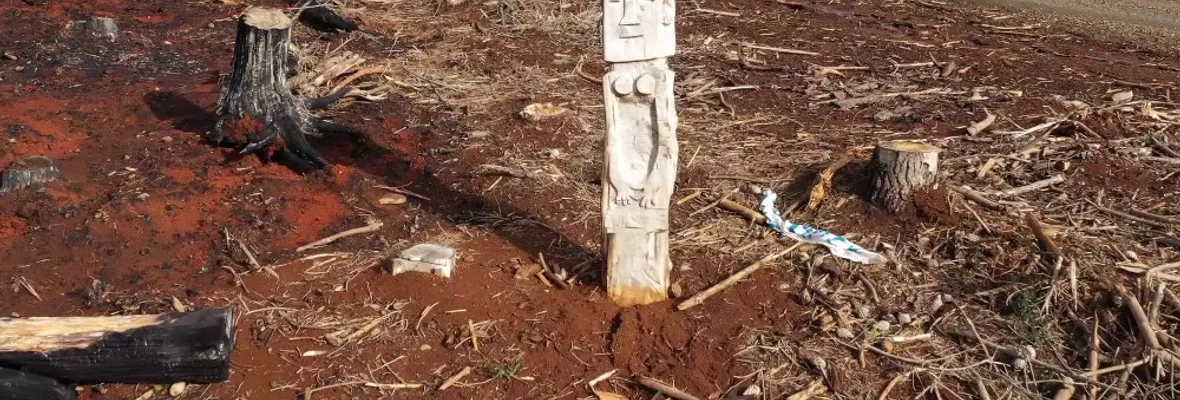 "Llamas del Despojo" el documental que muestra cómo las forestales quitaron la tierra a campesinos y mapuches por medio del fuego