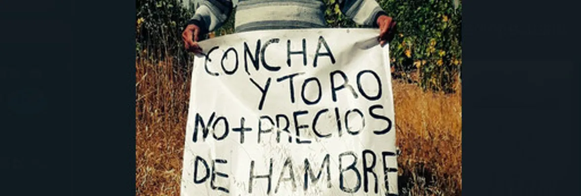 Viñateros/as sufren precios leoninos en una nueva vendimia, sin medidas de protección productiva
