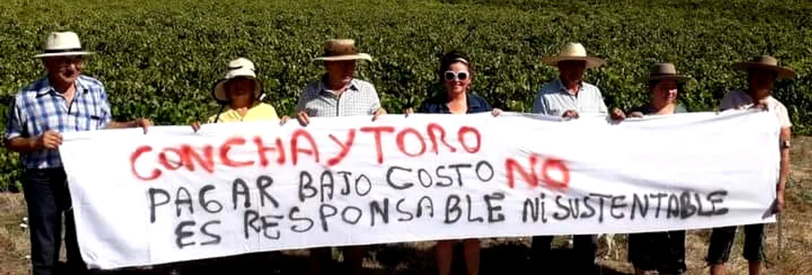 Viñateros/as envían carta a Boric: precios referenciales y compra estatal de uva y vino, algunas de las propuestas fundamentales para su sostenibilidad