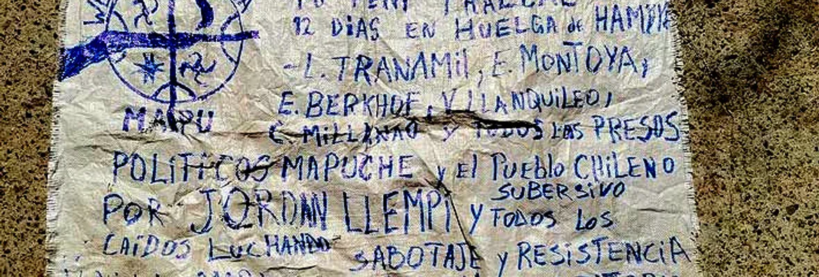 ¿Continuidad o cambio de estrategia de Boric?: Siches visita la Araucanía mientras Presos Políticos Mapuche sostienen dura huelga de hambre