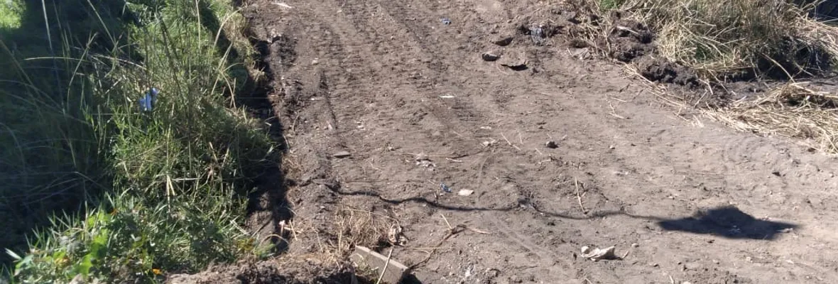 Denuncian rellenos en humedal Los Batros pese a su reciente declaración como Santuario de la Naturaleza