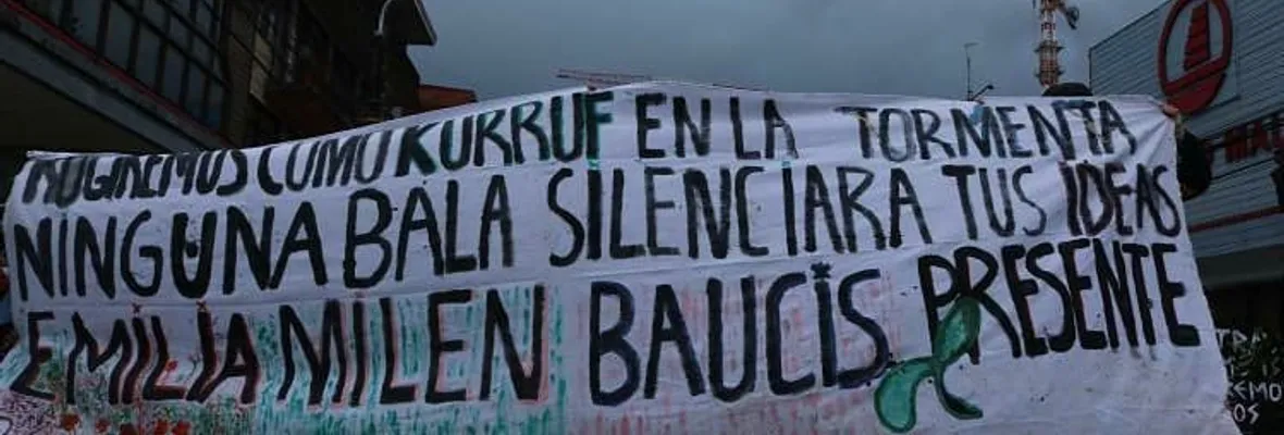 Suspenden reconstitución de escena de asesinato de Emilia "Bau": Ordenan a PDI informar sobre supuesta falta de seguridad en lugar de los hechos