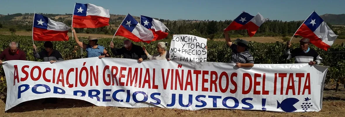 Viñateros/as: no sirve hacer lo mismo que hace diez años, urge corregir el abuso del gran empresariado e implementar la compra estatal de uva y vino