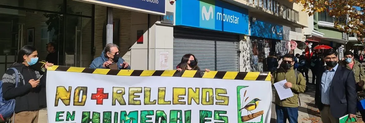 Presentan observaciones para incluir a todo el humedal Paicaví al trámite de su declaratoria como urbano