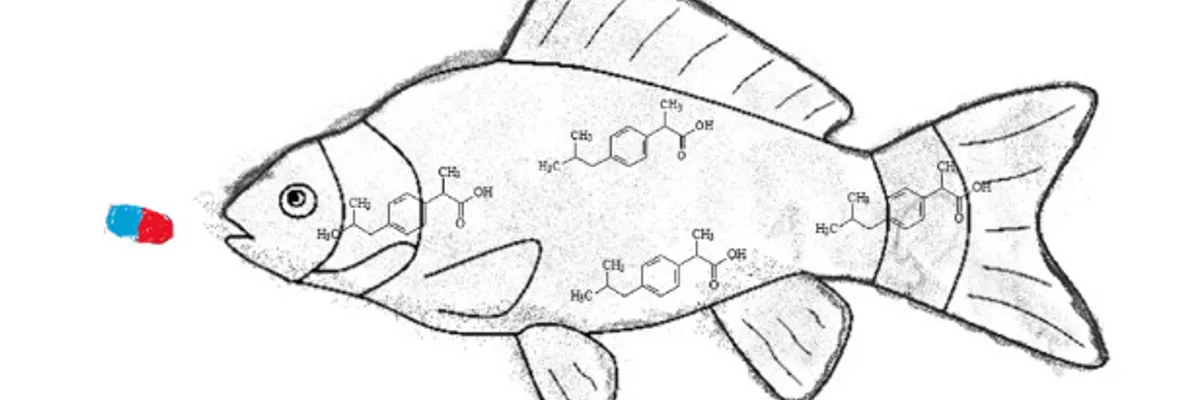 Urge investigar los impactos de fármacos y sus metabolitos en el ambiente marino, advierte estudio