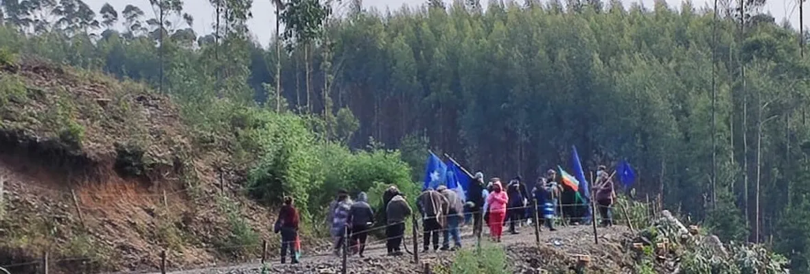 Comunicado de los Lov en resistencia del Golfo de Arauco: "nuestra lucha no es contra los vecinos de la localidad sino con Forestal Arauco quien es la responsable de la pobreza y subdesarrollo de nuestro territorio"