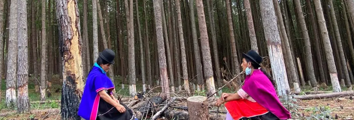 Informe revela violaciones de Derechos Humanos, impactos sociales y ecológicos por explotación de plantaciones forestales de multinacional Smurfit Kappa en Colombia