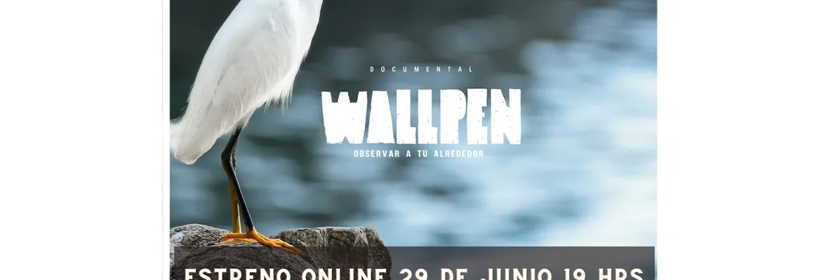 Documental "Wallpen: mirar a tu alrededor" será estrenado esta tarde en YouTube y Facebook