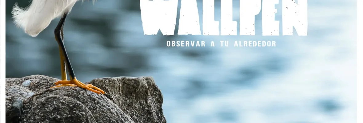 Estreno presencial de documental "Wallpen" se realizará en la U. Federico Santa María