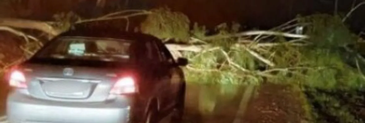 Resistencia Mapuche Malleco copa carreteras y ridiculiza la presencia militar en el Wallmapu