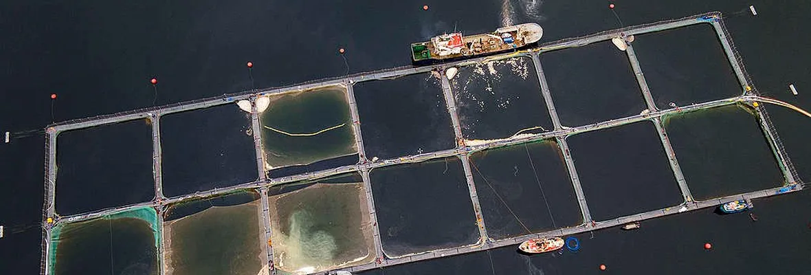 Comisión Mixta rechazó artículo de Ley SBAP que prohibía instalaciones salmoneras en áreas protegidas