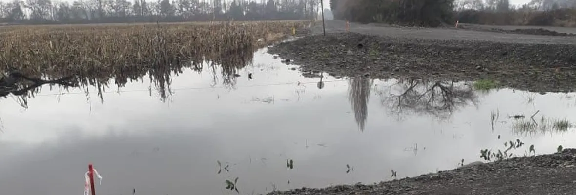 Abren investigación contra Aes Andes por posible incumplimiento de su Resolución de Calificación Ambiental en cuestionado parque eólico Campo Lindo de Los Ángeles
