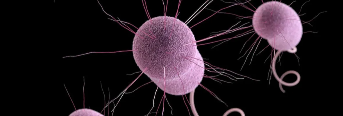 La pandemia impulsó el aumento de infecciones y muertes por bacterias resistentes a antibióticos en Estados Unidos, revela informe