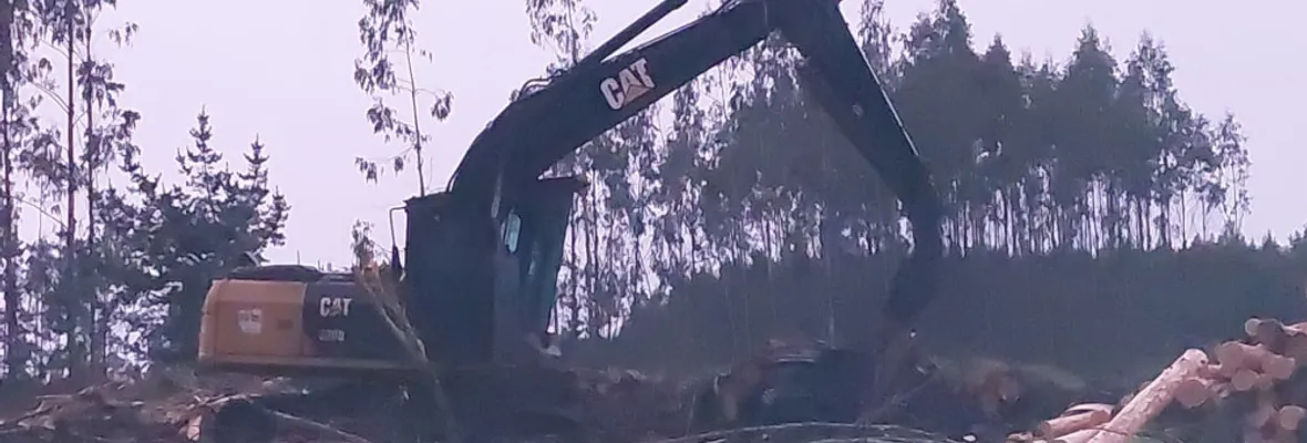 Guardia de seguridad de Maxcon en predios de Forestal Arauco denuncia vulneración laboral y múltiples irregularidades