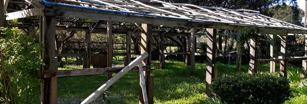 Tras renuncia de director de parque Pedro del Río Zañartu: Trabajadoras/es denuncian que administración dejó vehículos en desuso, cerró espacios y disminuyó sus beneficios