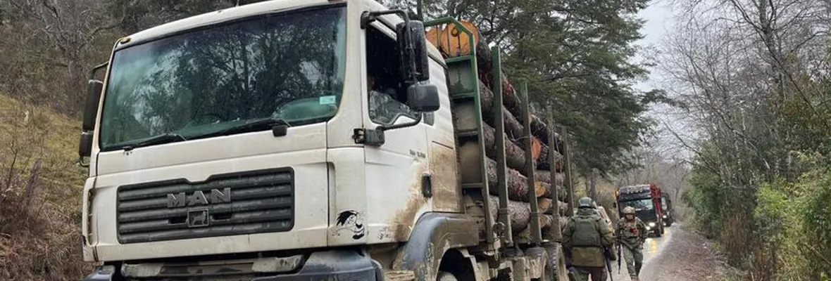 Remueven a jefe de inteligencia de Carabineros de Macrozona sur por posibles vinculaciones con robo de madera