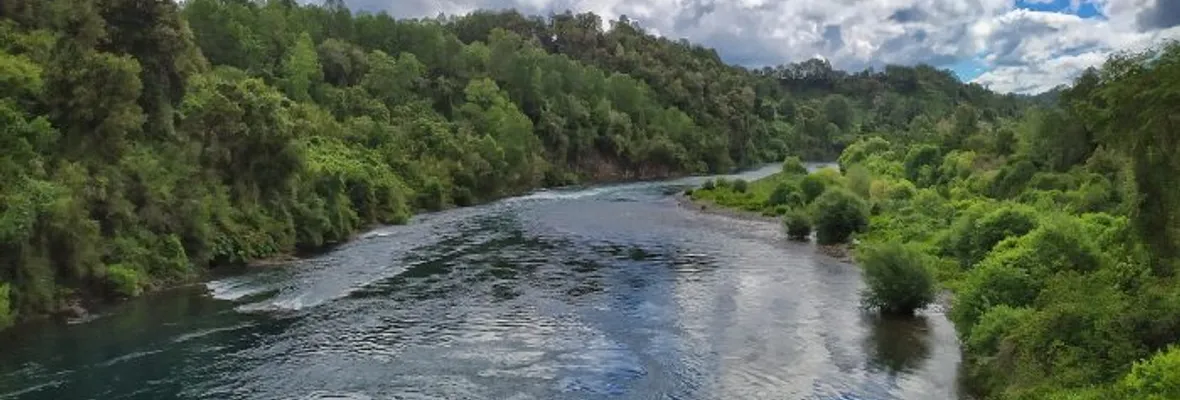 Colbún retiró proyecto de central de pasada sobre el río San Pedro
