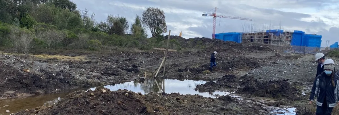 Constructoras El Olmo S.A y Pocuro Sur serían las responsables de las intervenciones en el humedal Valle Volcanes de Puerto Montt