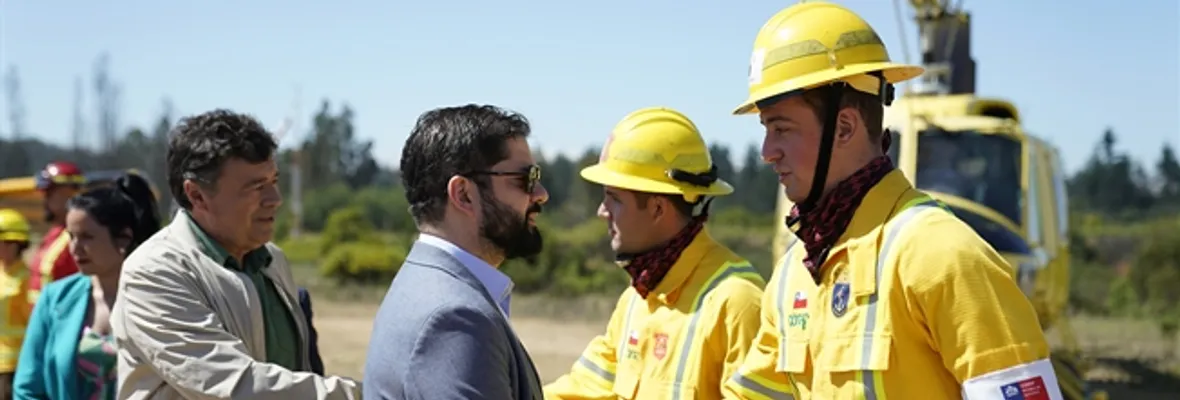 La prevención de incendios forestales será ineficaz sin recuperar el bosque en el centro-sur de Chile y sin regular las empresas del rubro