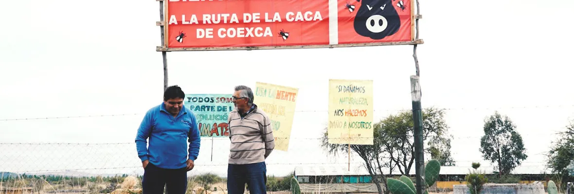"Nadie tendría un vecino como Coexca en el patio de su casa": Liberan documental que refleja conflicto con empresa chanchera en San Javier