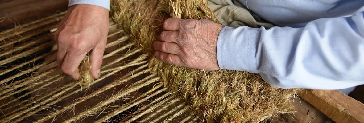 Investigan uso textil de la Pita junto a artesanos y productores chilenos