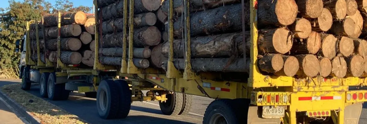 Cae empresario forestal sindicado como líder de banda dedicada el robo de madera en Collipuli