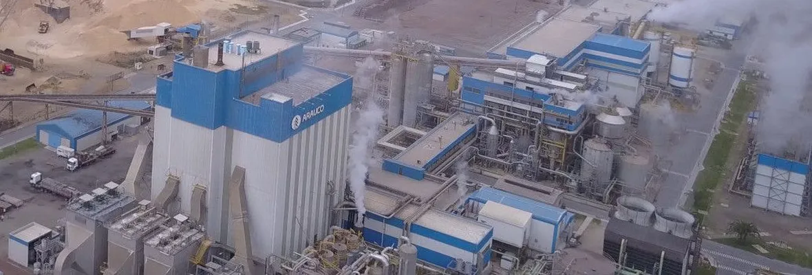 Autoridad sanitaria prohíbe funcionamiento a Celulosa Arauco (Celco) tras derrame y emanaciones tóxicas en Constitución