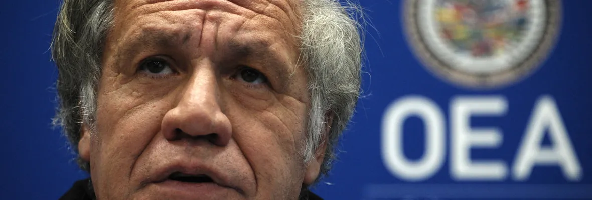 Luis Almagro, secretario general de la OEA será investigado por faltas a la ética
