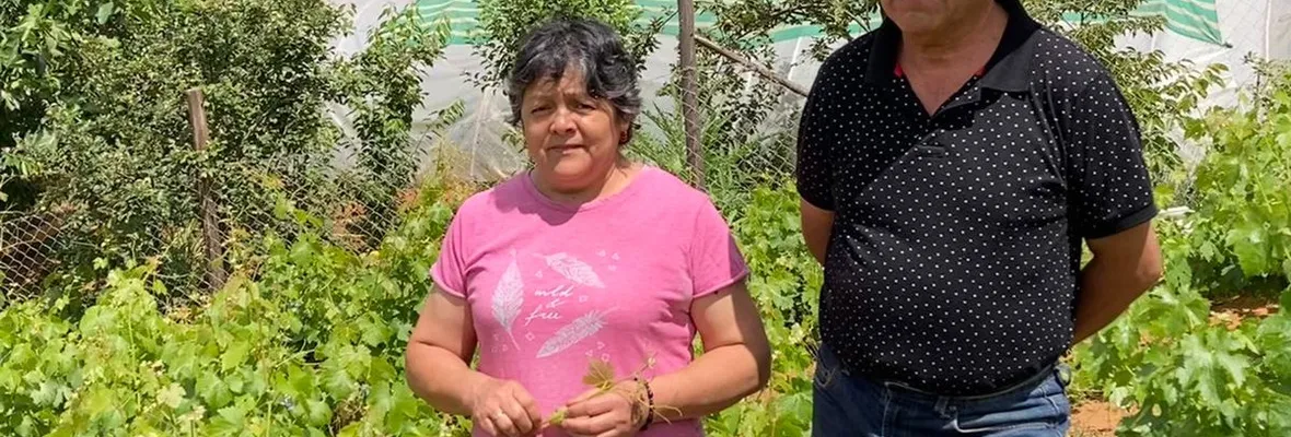 Familia Silva Riffo de Tomé: virtudes de la agroecología y peligros de estar rodeada de plantaciones forestales