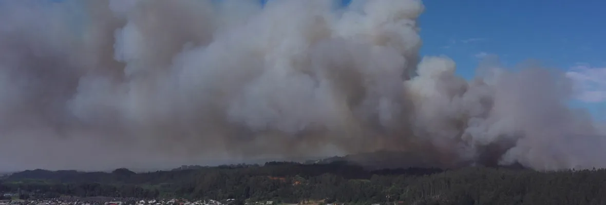 Dos Incendios, dos tragedias, un mismo modelo forestal: la urgencia de cambios reales
