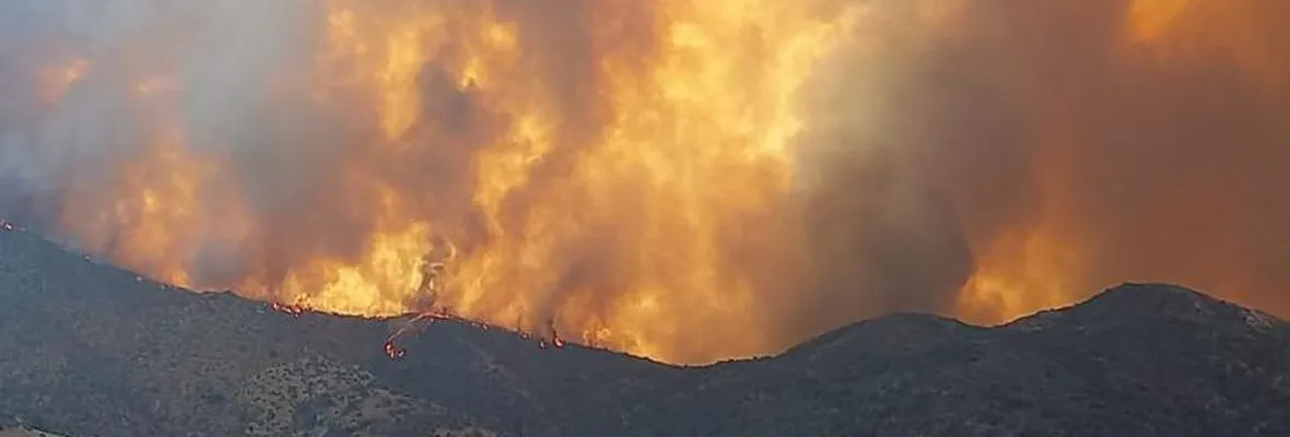 Encuentran cuerpo calcinado de voluntario que combatía incendio forestal en Quilpué