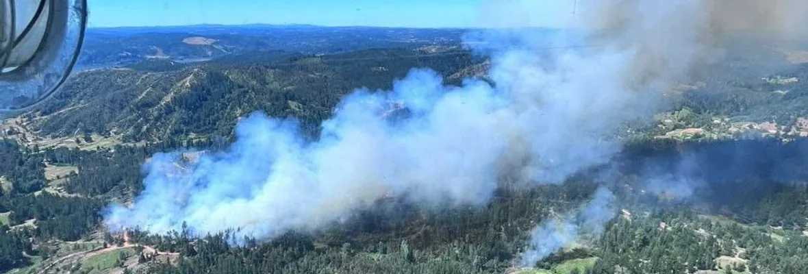 Alcaldesa de Santa Juana apunta a escasez hídrica y desechos forestales como principales causantes de incendio en la comuna